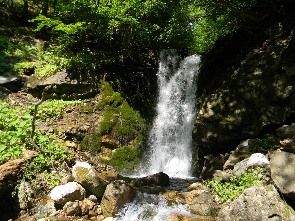 [DSCN32663.jpg]