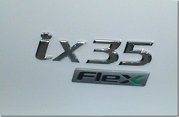 logo Flex.1