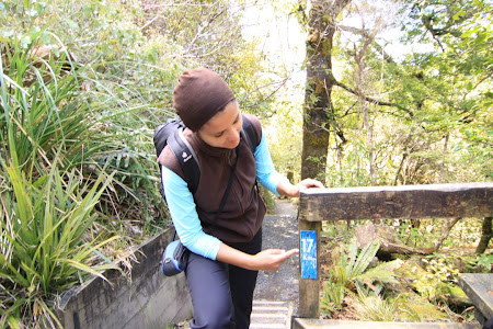 Tongariro Corssing ...am ajuns la km 17