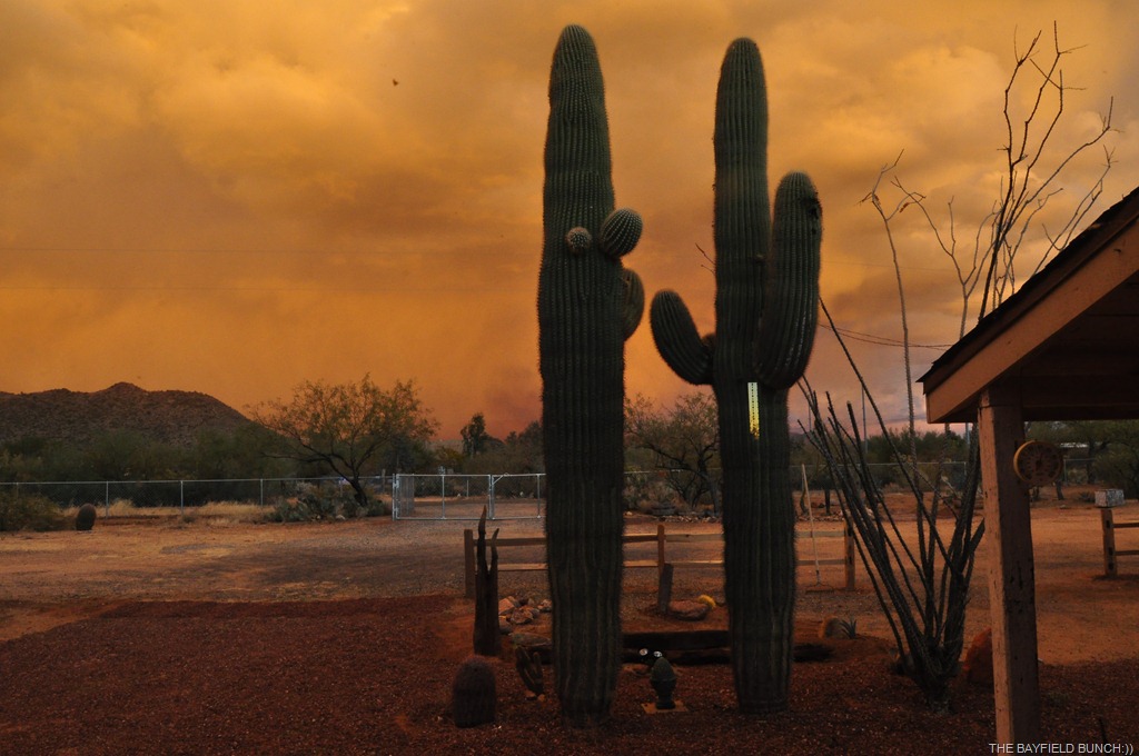 [DSC_0005%255B3%255D.jpg]