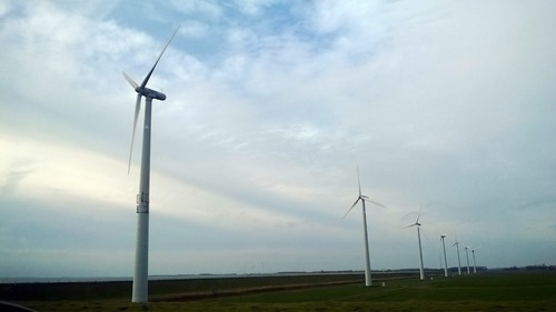 20170108 (3) (Large) 20170108 (3) (Large)