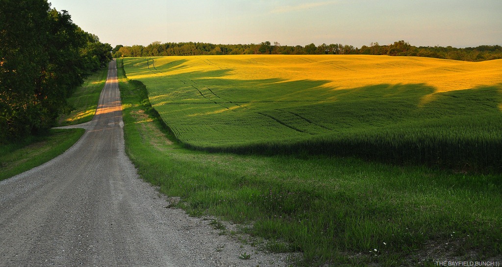 [DSC_0018%255B6%255D.jpg]