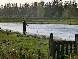 Skjern Au _ Oktober 2012 - 077