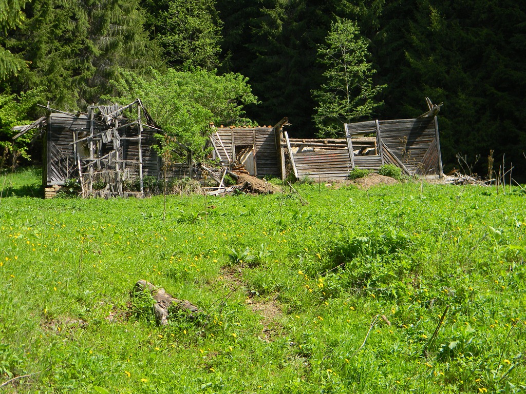[DSCN02913.jpg]