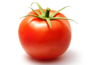 tomato[1]