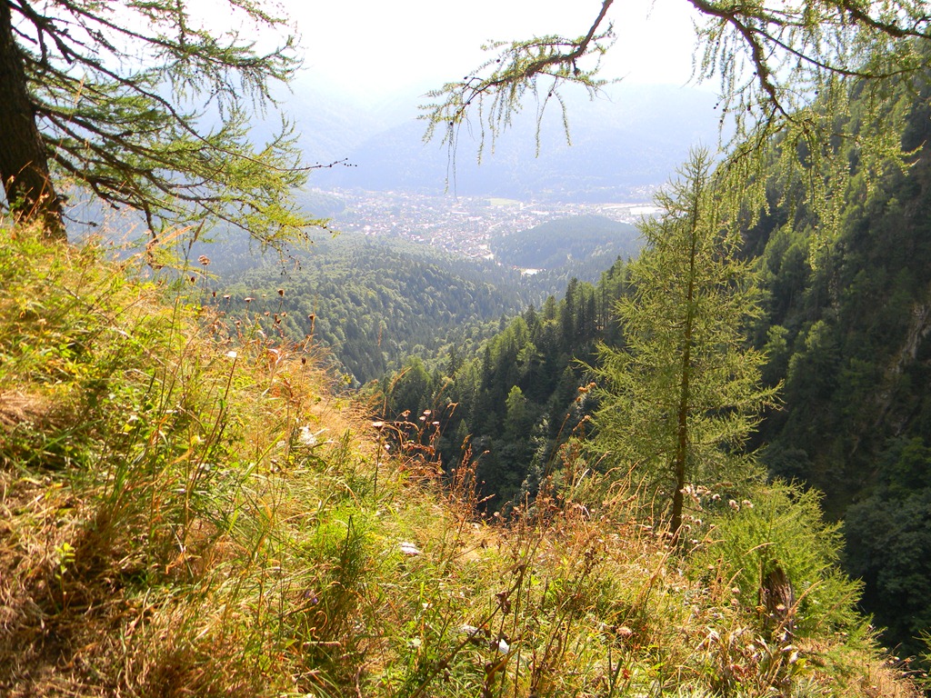 [DSCN23103.jpg]