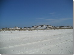SaintAndrewsBeach Sand Dunes