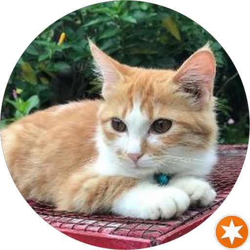 Javenir Park Taman Balekambang Tawangmangu Wisata Keluarga