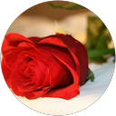 Image Google de Carine Michelena