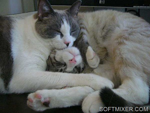 [clip_image004%255B7%255D.jpg]