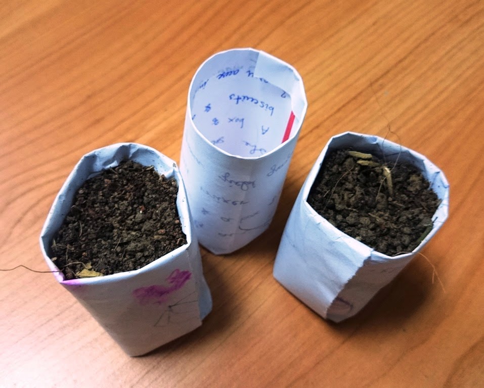 [DSC_0110%255B3%255D.jpg]