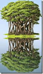 banyan-tree-07