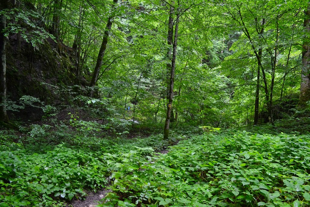 [DSC_04243.jpg]
