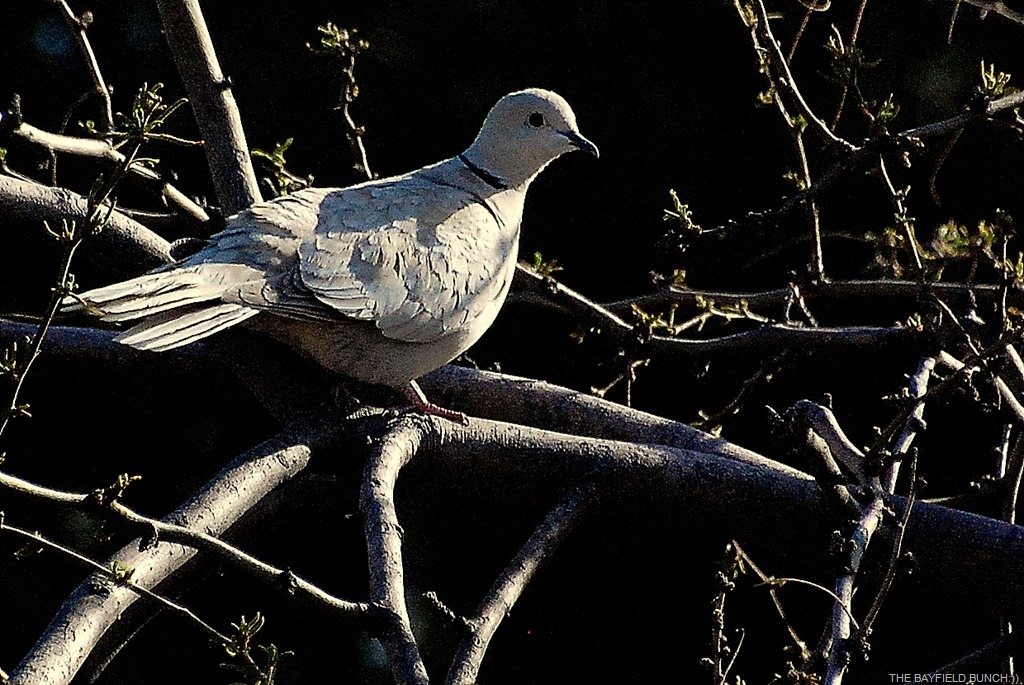 [DSC_6328%255B4%255D.jpg]