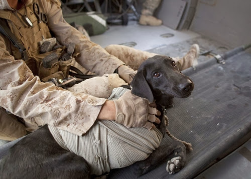 Афганистан через линзы объектива Ани Нидрингаус