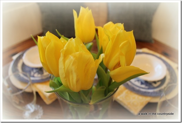 yellow tulips and blue willow