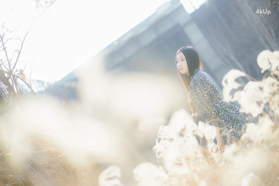 Bambi (밤비) Lacerta Photography