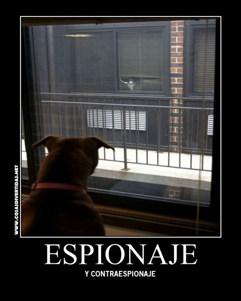 [ESPIONAJE%2520COSASDIVERTIDAS%25201%255B2%255D.jpg]