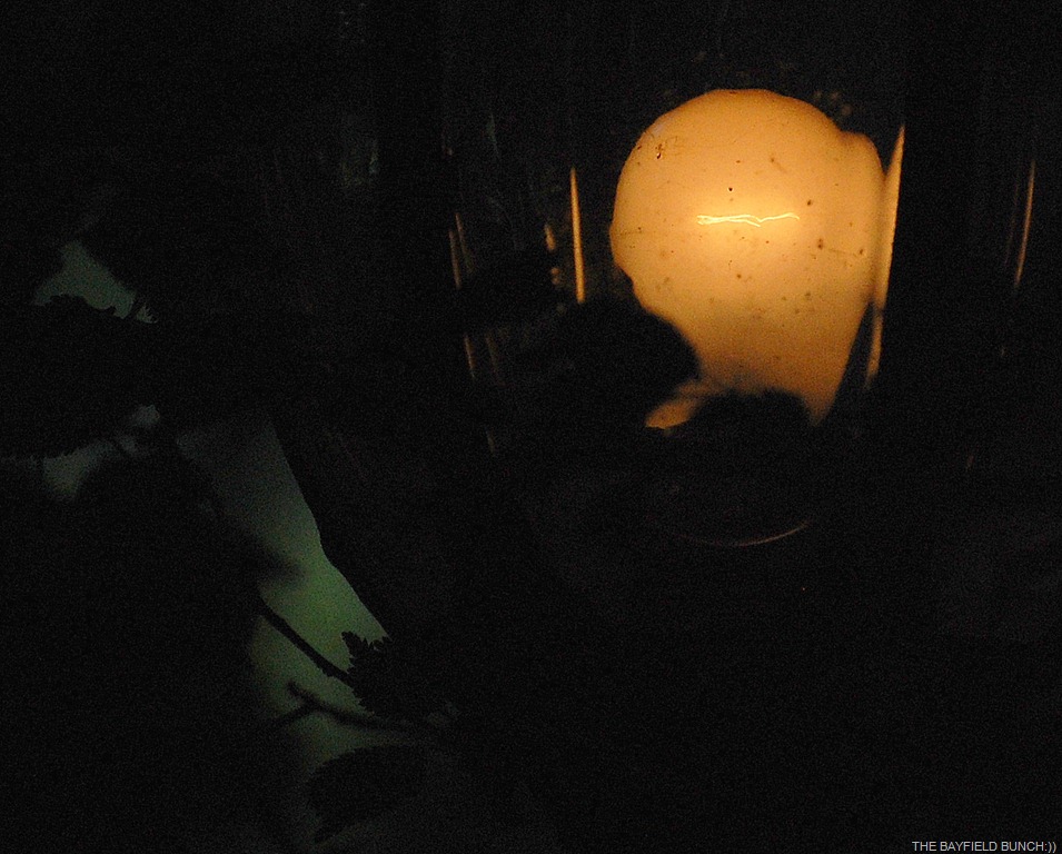 [DSC_7020%255B4%255D.jpg]