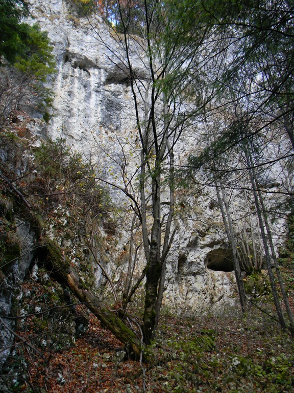 [DSCN98354.jpg]
