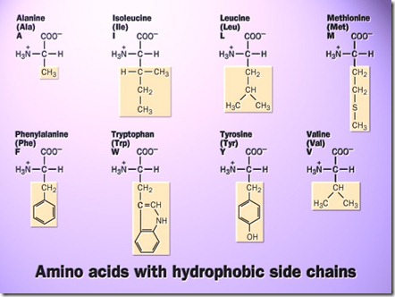 amino acids-9