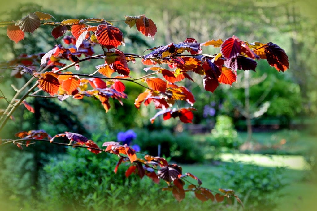 [07-IMG_2272%255B3%255D.jpg]