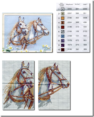 caballos blancos caballos blancos