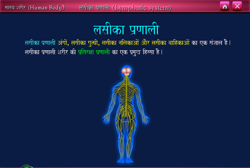 免費下載教育APP|Human Anatomy in English&Hindi app開箱文|APP開箱王