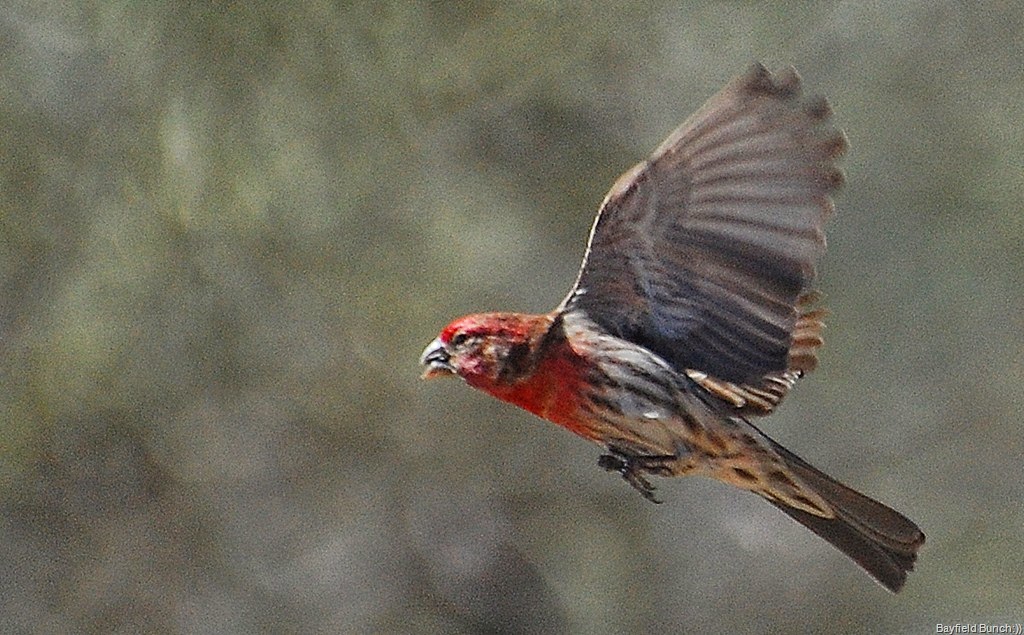 [DSC_3543%255B5%255D.jpg]