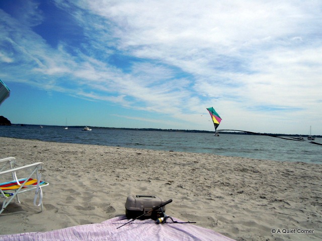 [Tackle%2520Box%2520%2526%2520Kite%255B3%255D.jpg]