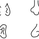 caras divertidas 1.jpg