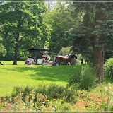 auch hier gibt es Kutschen