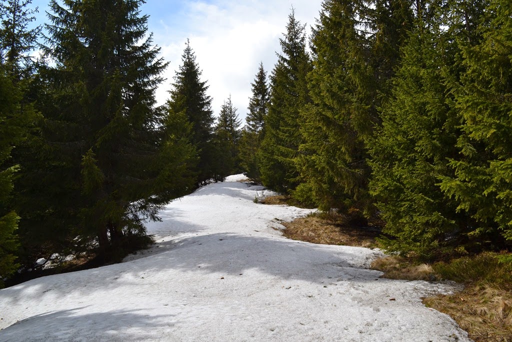 [DSC_65523.jpg]