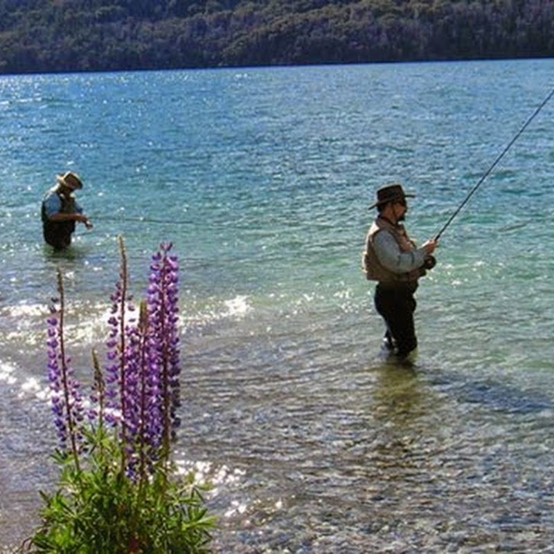 Pesca deportiva en Bariloche: la ruta de la trucha.