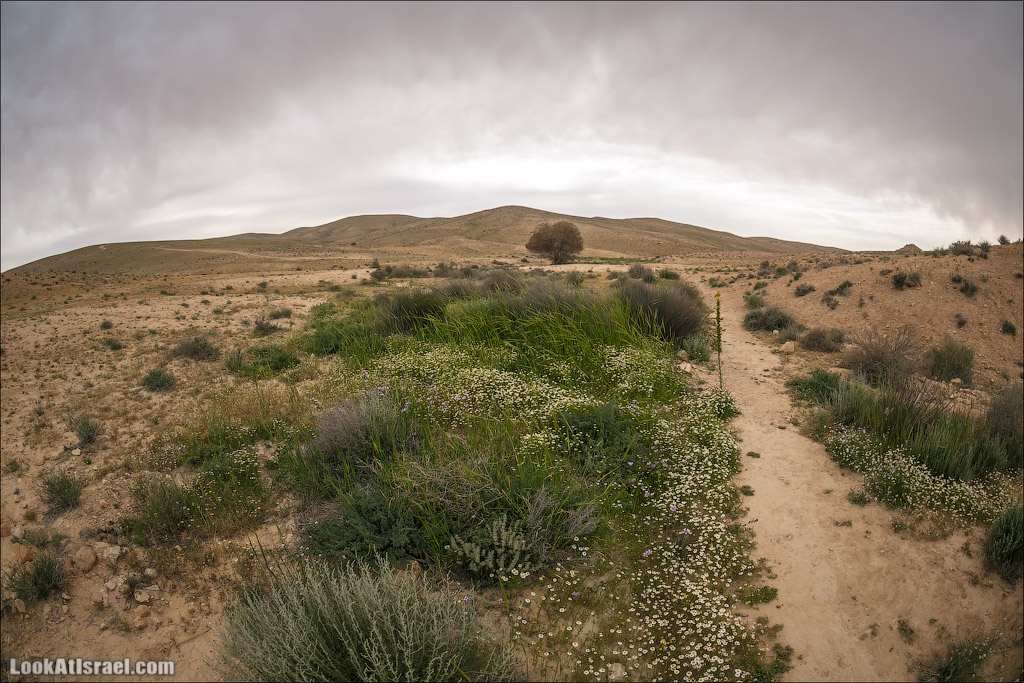 Водоёмы (колодцы) Луц | Lutz cisterns | בורות לוץ | LookAtIsrael.com - Фото путешествия по Израилю
