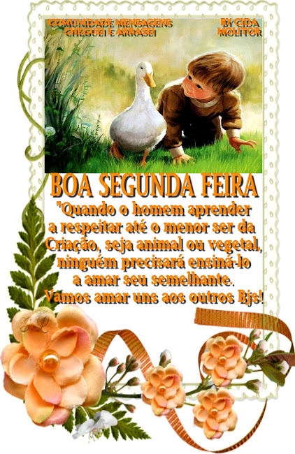 PATO.jpg