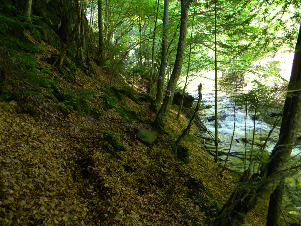 [DSCN12603.jpg]