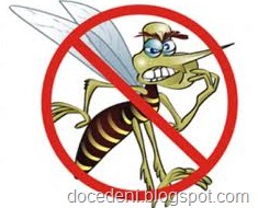 [mosquitos%255B8%255D.jpg]