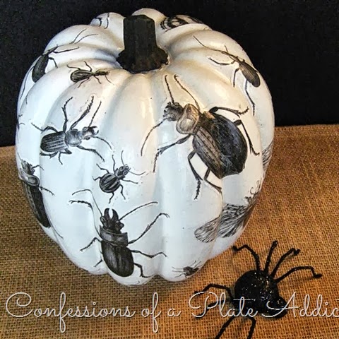 [CONFESSIONS%2520OF%2520A%2520PLATE%2520ADDICT%2520Decoupage%2520Insect%2520Pumpkin3%255B2%255D.jpg]