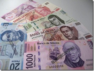 imagenes de dinero (6)