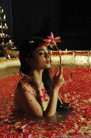 shriya hot wet saree pics