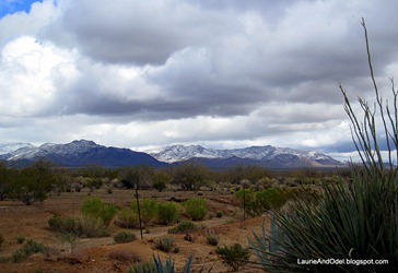 Awoke to snow near North Ranch