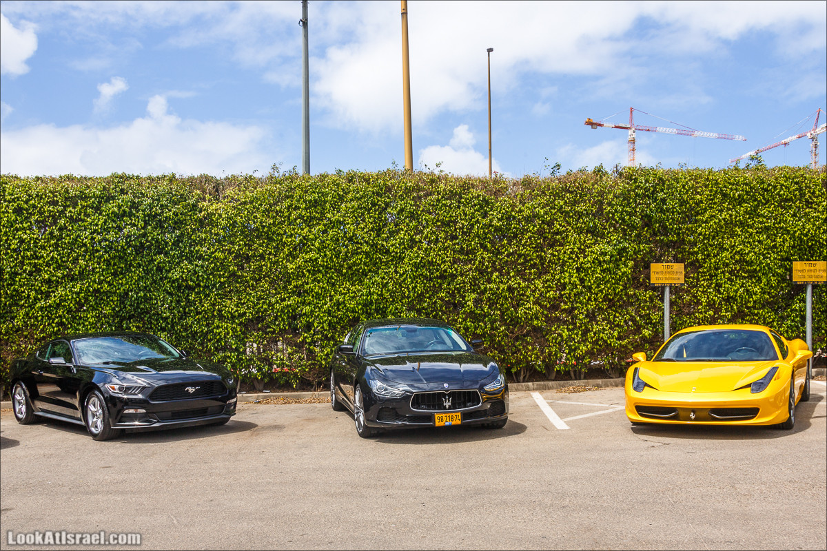 LookAtIsrael.com - Автомобильная выставка Automotor в Тель Авиве | Automotor Expo in Tel Aviv | תערוכת אוטומוטור בתל אביב