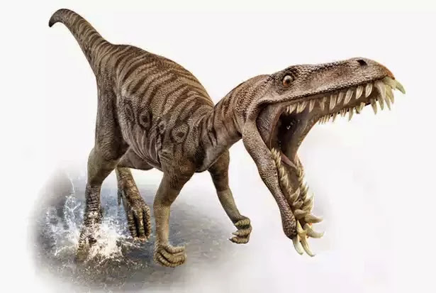 dinosaurs and co