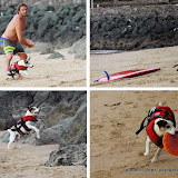 Al est aussi un adepte du Frisbee qu'il pratique sur le sable de la côte des basques