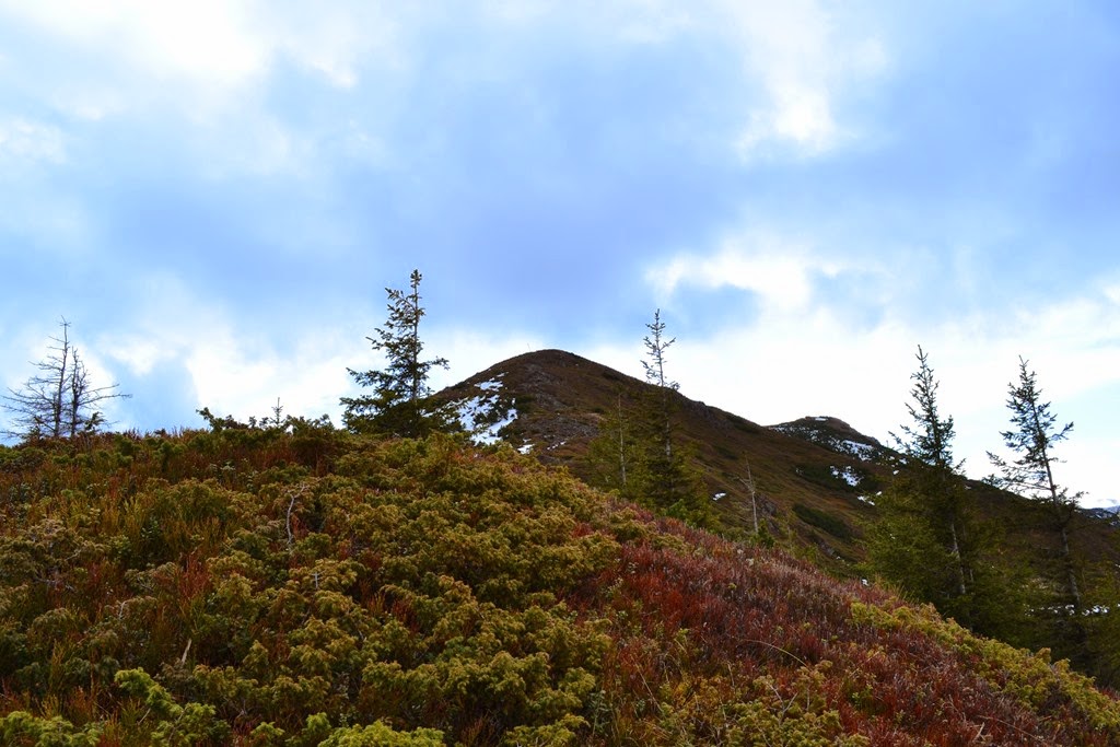 [DSC_73523.jpg]