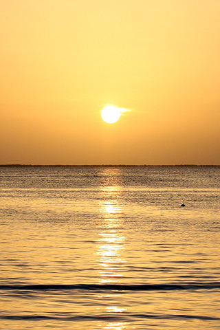 2443416497_04c9bfa91f