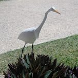  in Cancun, Mexico 