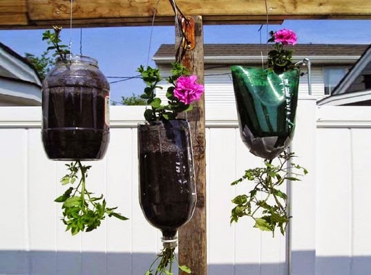[pop-bottle-planters-537x398%255B3%255D.jpg]