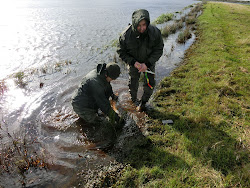 Skjern Au _ Oktober 2012 - 025